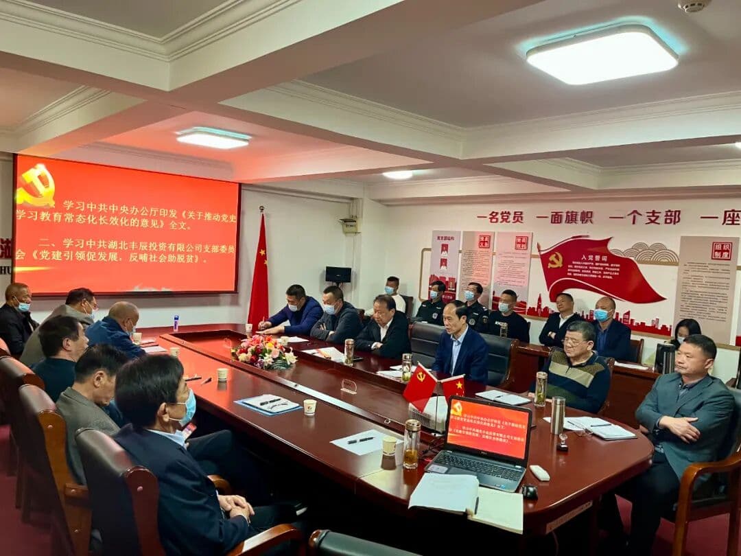 公司黨支部開展主題黨日活動